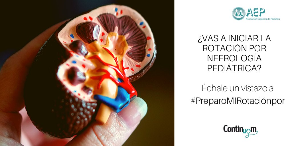 aepediatria's tweet photo. La nefrología pediátrica que necesitas durante tu rotación MIR en #PreparoMIRotacionPor . #GrupoMIRAEP @ContinuumAEP https://t.co/x7xoHDJ5DT https://t.co/EwPWGuXUKc