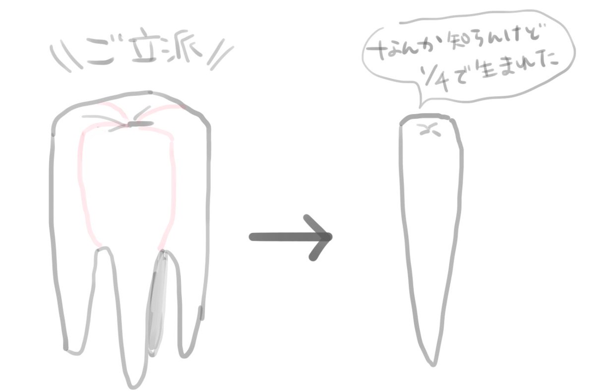 「めっちゃ長い」んじゃなくて「めっちゃ細い」んです… 