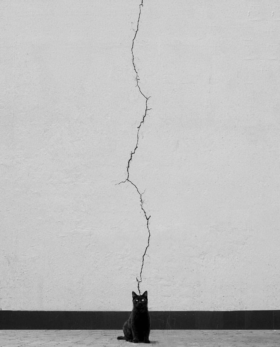 minimalism tweet media