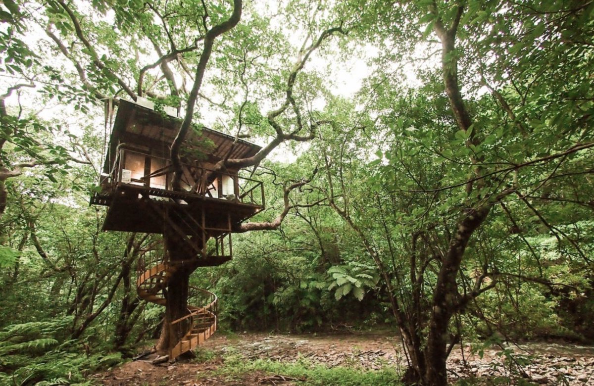 Treeful Treehouse Treeful Resort Twitter