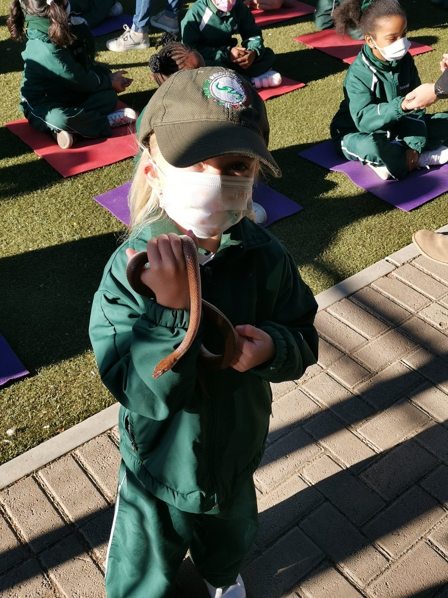 ThornhillBW252's tweet image. Our Std 1 children @ThornhillBW252 had a snake presentation this morning. There was many a shriek and much excitement as the children enjoyed the occasion. #TheThornhillWay #YearningToLearn