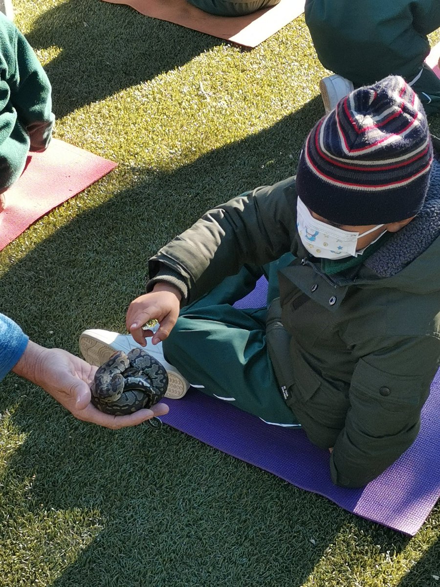 ThornhillBW252's tweet image. Our Std 1 children @ThornhillBW252 had a snake presentation this morning. There was many a shriek and much excitement as the children enjoyed the occasion. #TheThornhillWay #YearningToLearn