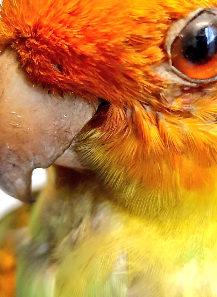 Dublin's Dead Zoo tweet media