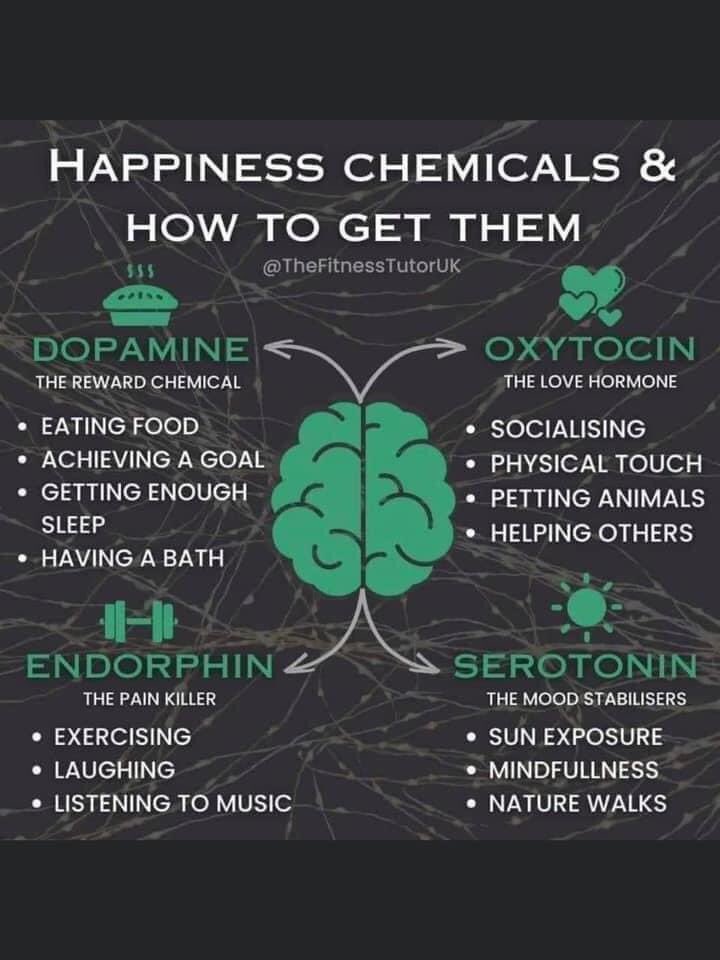 hayfieldphysio's tweet photo. How are you getting your happiness chemicals today? https://t.co/VTAow5Fr8o