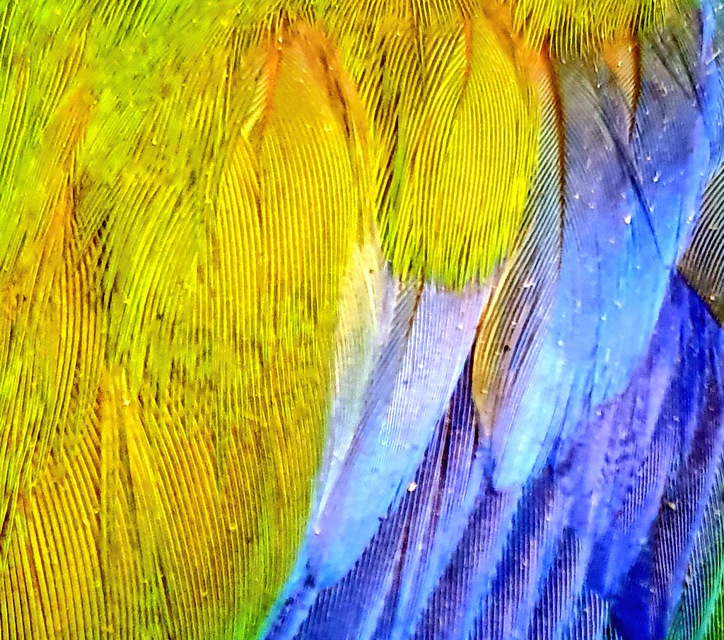 Dublin's Dead Zoo tweet media