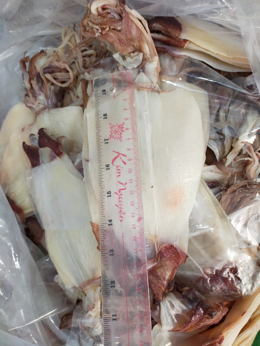 Maris39340799's tweet photo. Supplying dried squids and other seafood products over the world.
WhatsApp: +84911509598 or email: marisbaseafoodvn@gmail.com
#driedsquids
#driedanchovy
#frozenseafood https://t.co/DJAVdn5B4e