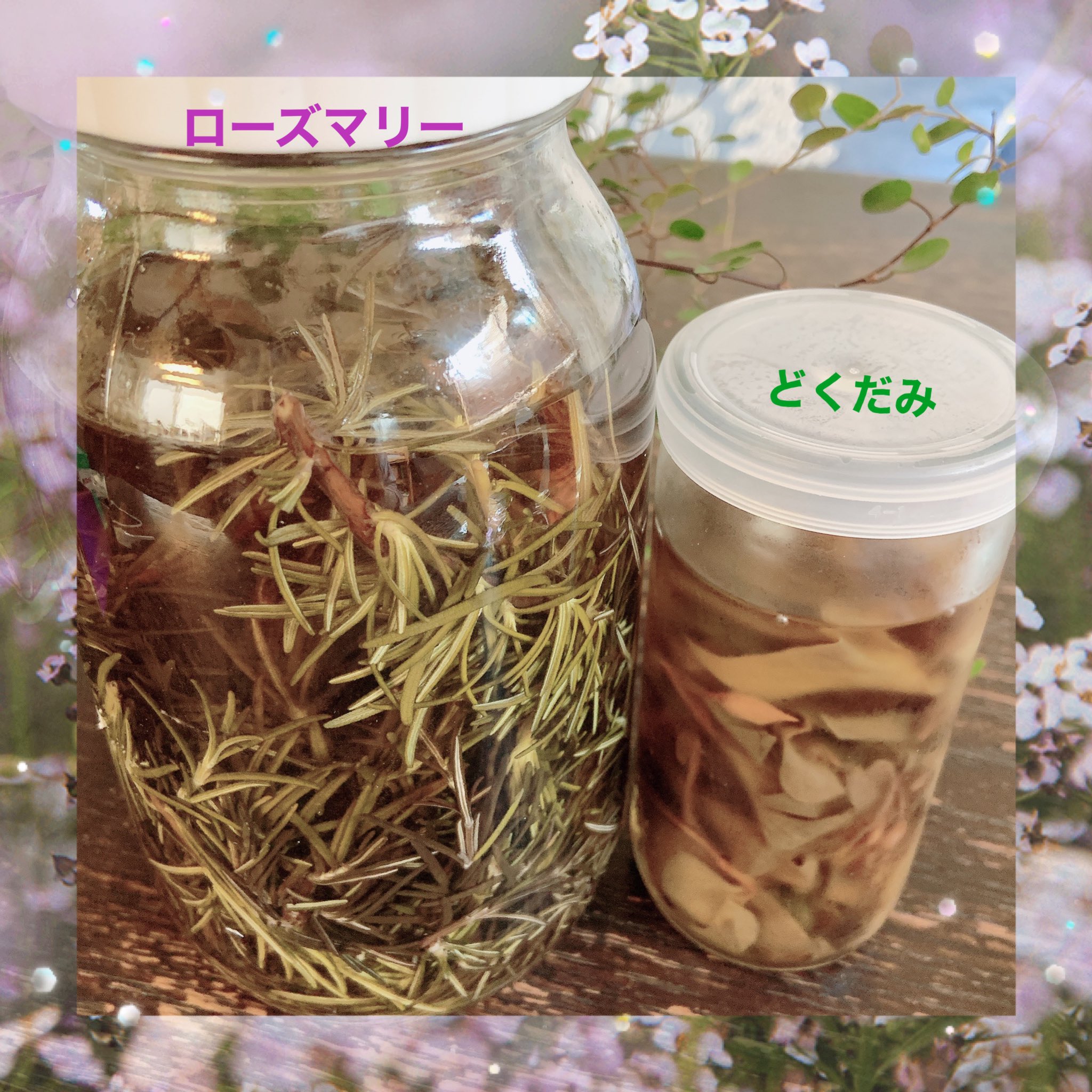 Ichigomilk 우유 Moko ドクダミチンキ いただいて１ヶ月ぐらいになりそうだから化粧水作った 虫除けにもなるはず 我が家のローズマリーもチンキ作成 放置でいいから 笑 助かる 保存は冷蔵庫 허브 Herb 手作り 化粧水 T Co 5rebx8gybm Twitter