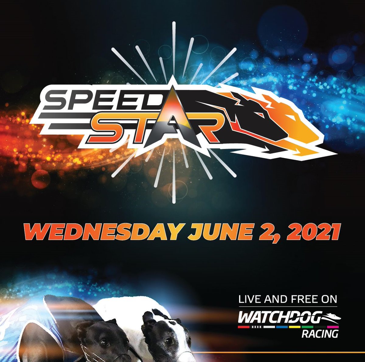 SpeedStar - Sandown Park Greyhounds - Wed 2 Jun from 6.30pm
WATCH HERE: | sandowngreyhounds.com.au/speedstar/
or catch all the action on Sky Racing Active or The Watchdog apps
