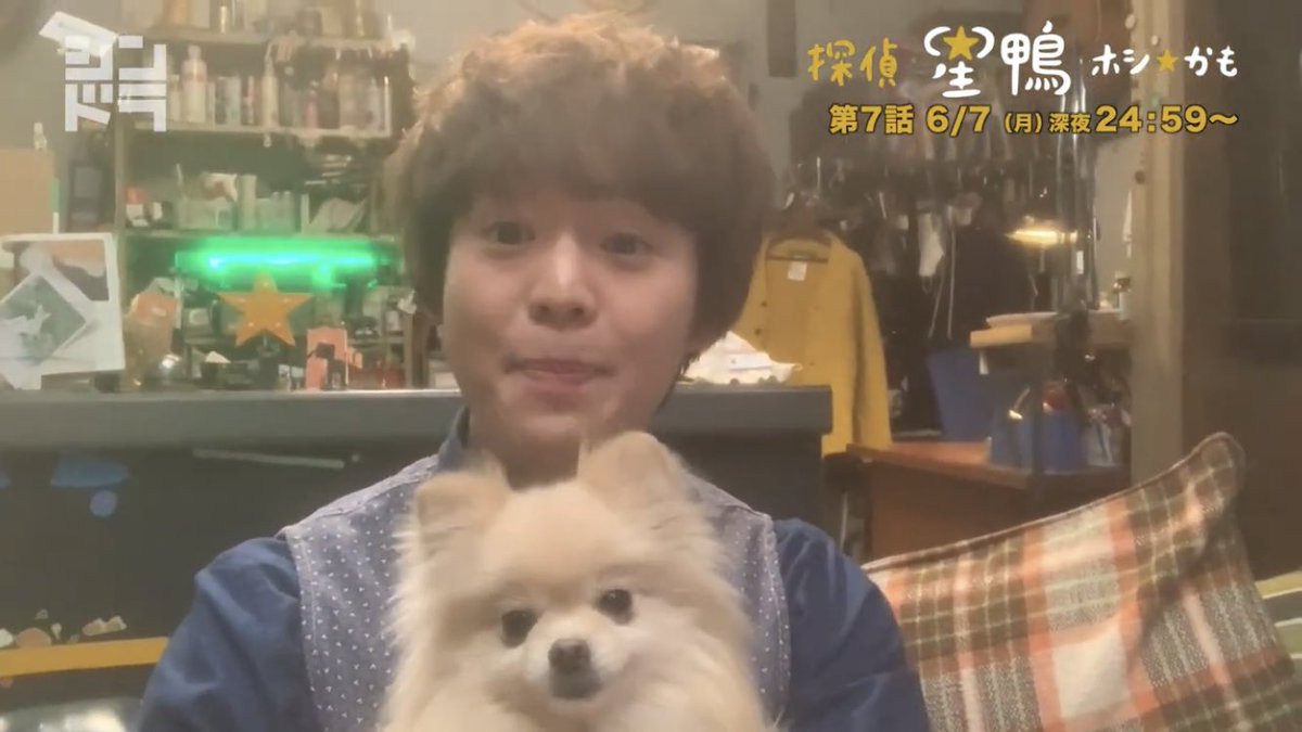 みぃこ 自撮り現場リポートvol 7 主演有岡大貴 シンドラ 探偵 星鴨 6 7放送 T Co Awfrubkvpf Youtubeより か 可愛い ポメラニアンが2匹 T Co Njamc5pf6c Twitter