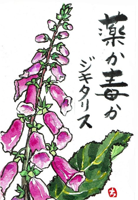 薬草のtwitterイラスト検索結果