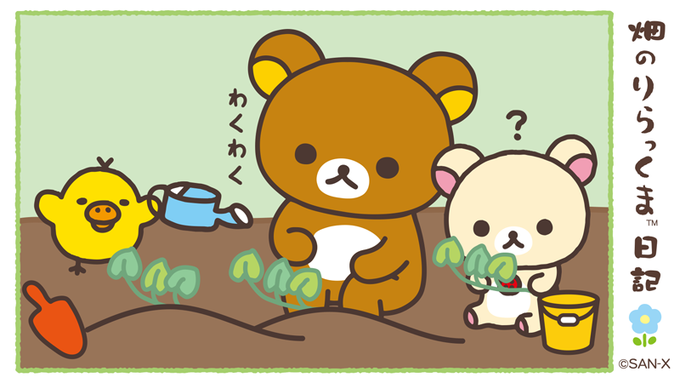 今日はみんなで何か植えているみたい🌱
何を植えているのかな。

#畑のりらっくま栽培日記 