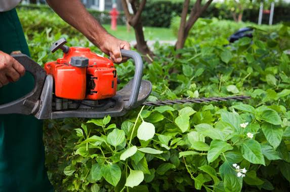 pickamachine's tweet photo. Best Gardening machine for gardener.
#gardening #gardeningtips #Pride2021 #GardenersWorld #Joon https://t.co/P7l6IqSUes