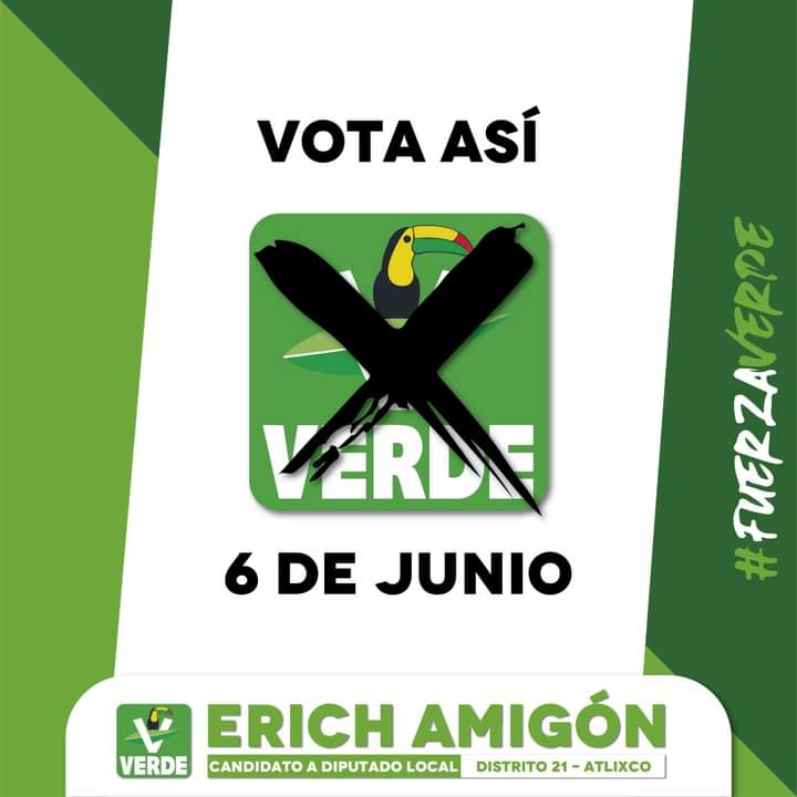 VerdeAtlixco's tweet photo. #ErichAmgon  candidato del #PVEM a la diputación local https://t.co/VjCEsKAo6E