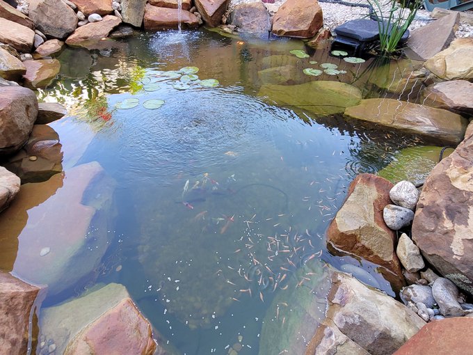 I had this Koi pond built from the money I made shorting $doge and $xrp https://t.co/fc8twaPXBx