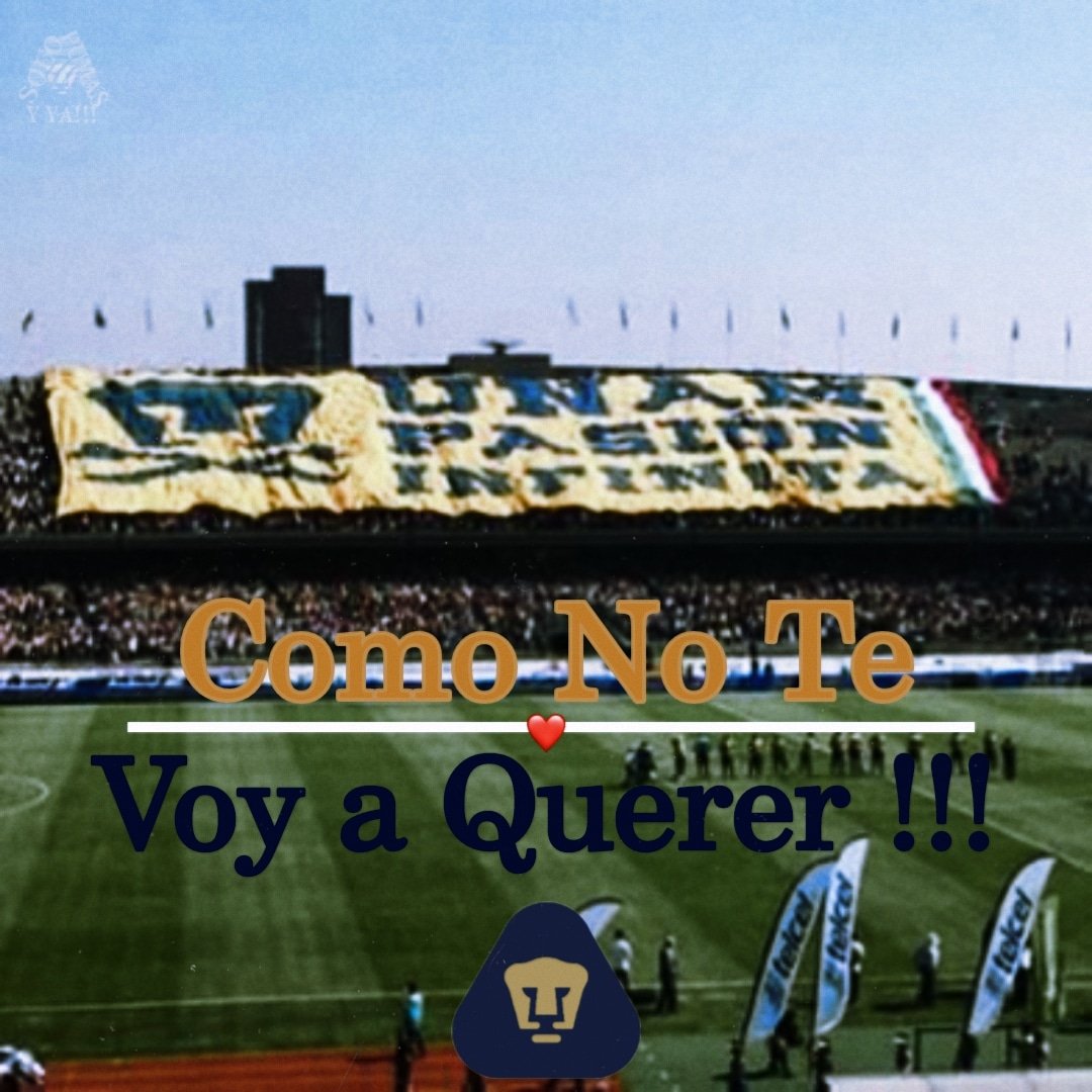 solopumasyya's tweet photo. 🔥PUMAS🔥
👊😼🤙
#SoloPumasyYa #hoymasquenunca #SoydePumas #pumasunam #OrgulloAzulyOro #PasiónInfinita #GarrayEspiritu #dalepumas #pumasdecorazon #PorLa8va #sangreazulypieldorada #Goya #Futbol #ligamx #Guard1anes2021 #FutbolMexicano #easports #fifa #fifa21 #mejorymasfuerte 💵 https://t.co/qDMjAB2z7y