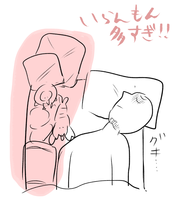 なんで首痛めたんだろうと思ってたけどどう考えてもぬいやクッションで枕がベッドから半分以上落ちとるせいや 