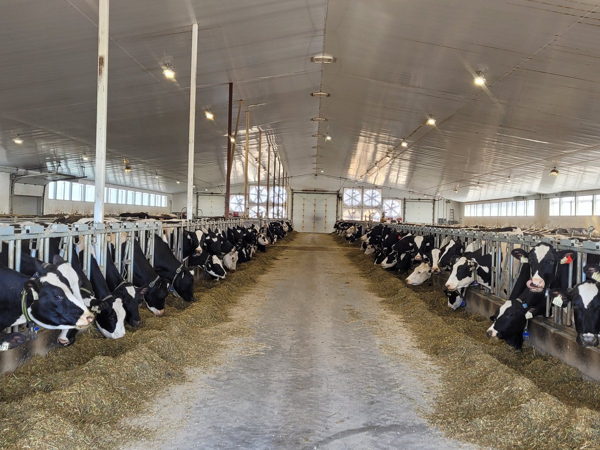 Gerrit Haarman tweet media