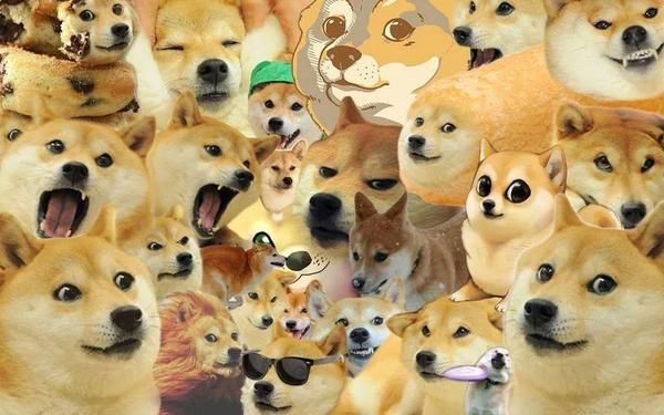 thetradingalien's tweet photo. Join for the coin, stay for the community. #dogecoin https://t.co/9T493n0okF