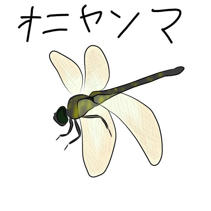 オニヤンマのtwitterイラスト検索結果 古い順