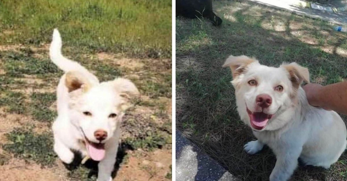 Masum Gözler tweet media