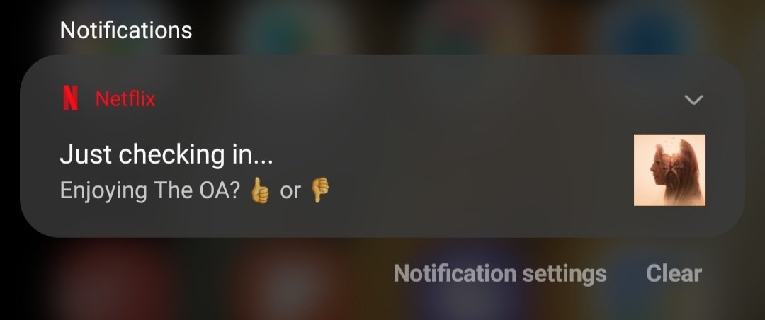 MelanieJEaston's tweet photo. Excuse me @netflix, what is with this random notification? I WAS enjoying The OA before YOU CANCELLED IT ON A CLIFFHANGER. Why are you teasing me with notifications years after the fact? What are these mind games??? https://t.co/Azo5zoYk3J