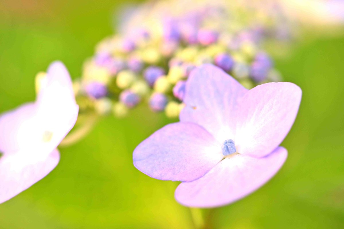 もっち mocchi tweet media