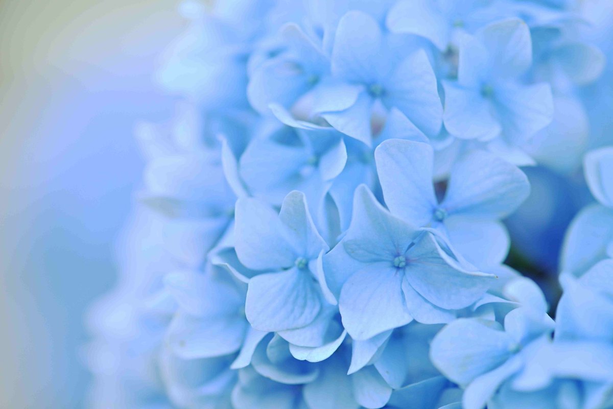 もっち mocchi tweet media