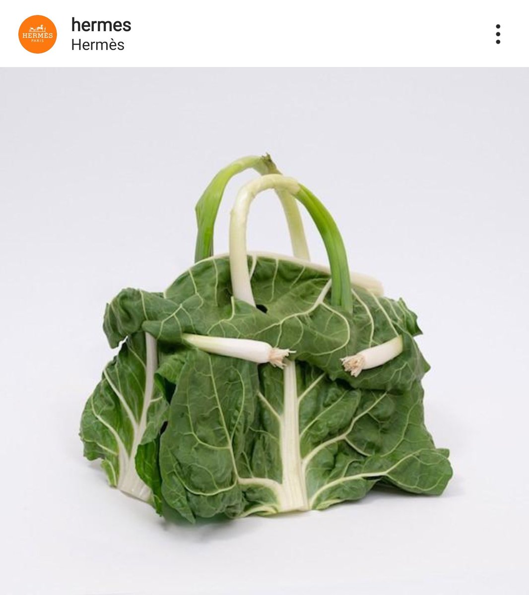 デザイナー河童かよ エルメスが制作したバーキンのバッグ 見た目のインパクトがすごすぎる 顧客が河童なのですよ Togetter