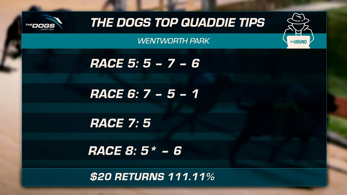 Thedogs Hashtag On Twitter