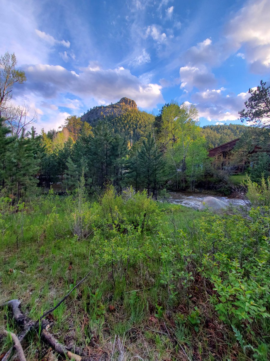 TheLight2020's tweet photo. Estes Park Colorado https://t.co/vUJ54TxqMj