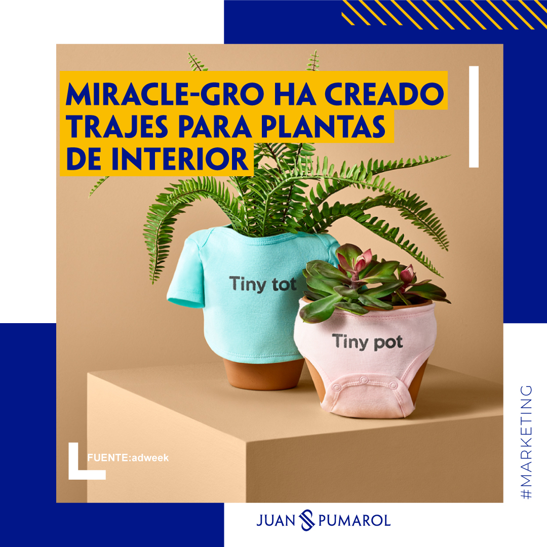 jpumarol's tweet photo. La marca de jardinería 𝐌𝐢𝐫𝐚𝐜𝐥𝐞-𝐆𝐫𝐨 🌳ha lanzando una 𝐥𝐢́𝐧𝐞𝐚 𝐝𝐞 𝐫𝐨𝐩𝐚 [fundas para macetas] 𝐝𝐞 𝐞𝐝𝐢𝐜𝐢𝐨́𝐧 𝐥𝐢𝐦𝐢𝐭𝐚𝐝𝐚, hechas a mano, con un diseño divertido y elegante, para los amantes de las plantas.  

¿Comprarías una? 

#BrandMasters #TinyPot https://t.co/VBBfP0S1x0