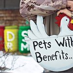 Photo by CLUCK Canada (@CLUCKCanada)