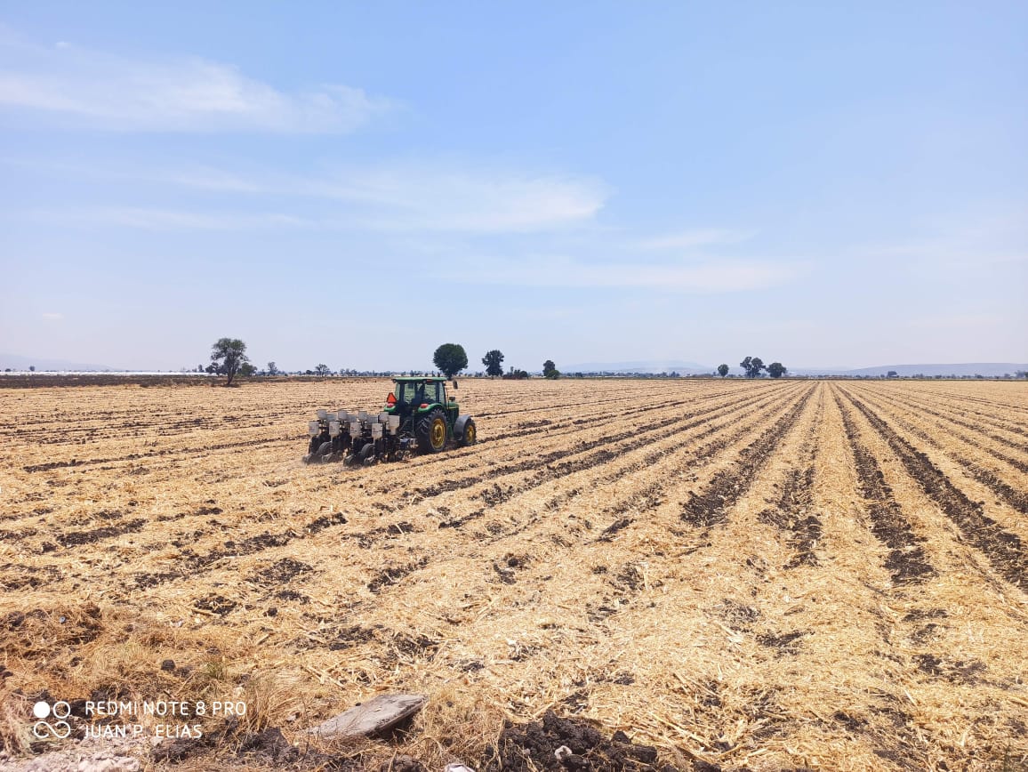 MasAgroGto's tweet photo. 🇲🇽#CultivandoUnMéxicoMejor | Sabías que al practicar la Agricultura de Conservación reduces hasta 70% el uso de combustibles y las emisiones de CO2 a la atmósfera.

@HeinekenMexico 
@ACCIMMYT 
@CIMMYTesp https://t.co/Vy92OechRI