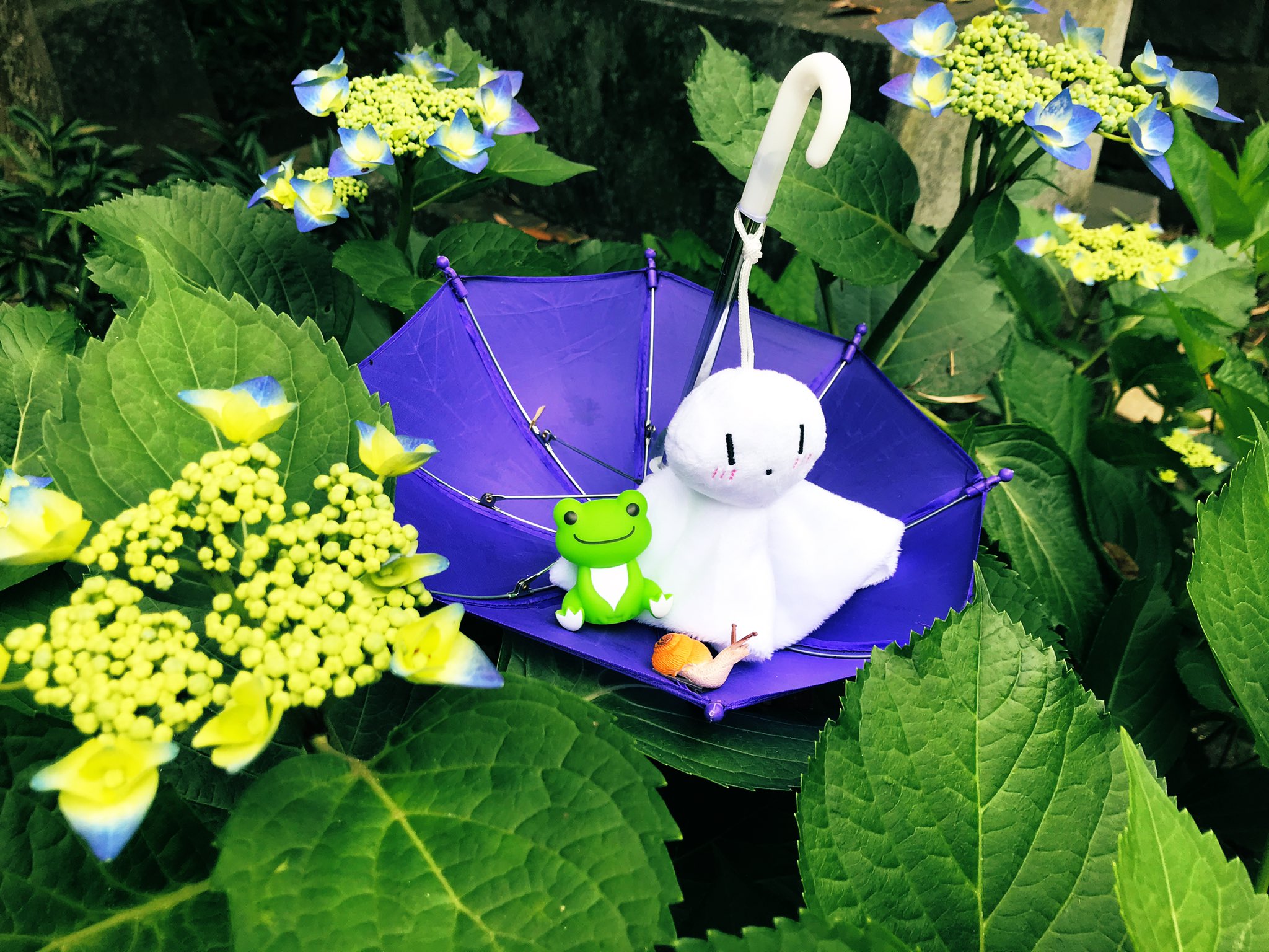 大宝八幡宮 関東も今週梅雨入りするとか 境内の紫陽花が少しずつですが咲き始めたので 小物を使ってちょっと飾り付けをしてみました 全体的に見ると咲いている株はまだ一部で これから雨が増えてたくさん咲くと良いなと思います 神社 御朱印