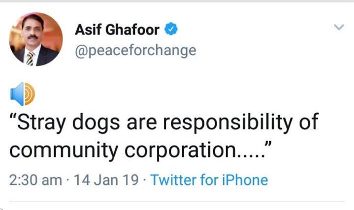 ImranARaja1's tweet photo. Once upon a time a legend said #مارخور_کتے_نہیں_مارتے https://t.co/gekyiqrxgw