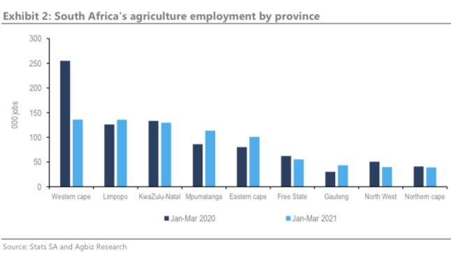 Rico Basson tweet media