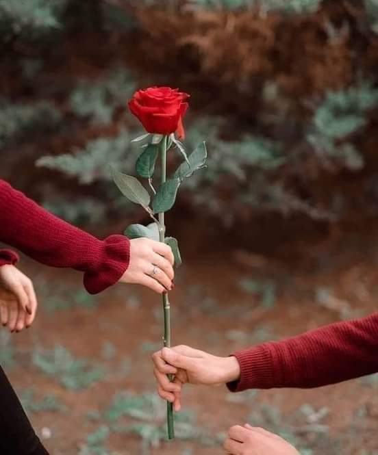 chakerayeb's tweet image. 