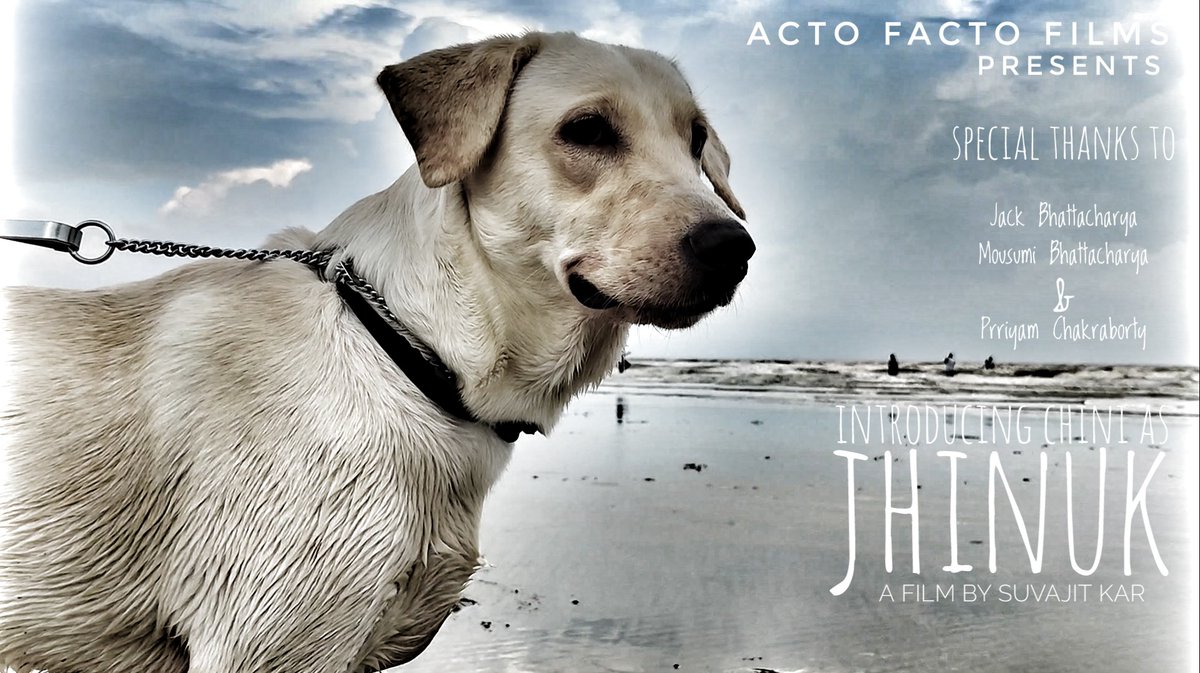 ActoFacto's tweet photo. JHINUK || (4K) Short Film || For All Dog Lovers || Silent Picture https://t.co/ozu2joxkc8 via @YouTube https://t.co/ekBH9Wa6Td