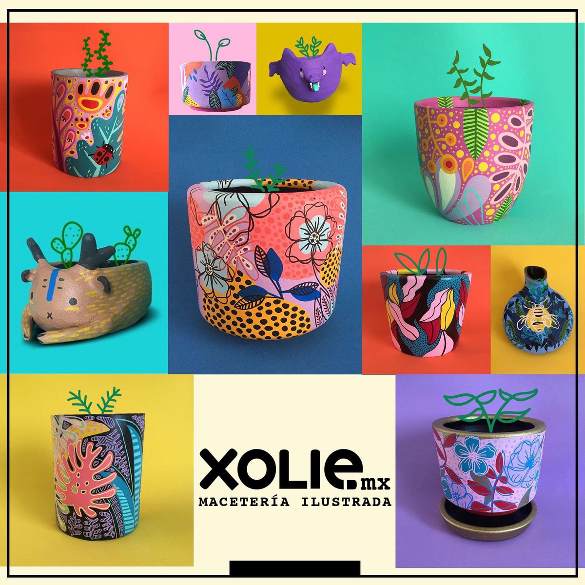 xoliemx tweet media