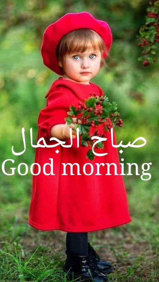 chakerayeb's tweet image. 