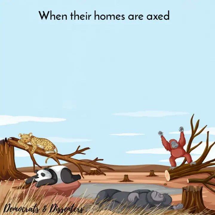 VijayaRathod's tweet photo. Dumna is Home to rich variety of wildlife  !! 

We should think before axing their home !! 
#savedumna #NoConstructioninDumna 
@savedumna
@MPRakeshSingh @ChouhanShivraj @jabalpurdm @JabalpurSocial @JabalpurMy https://t.co/E28yOJeNWo