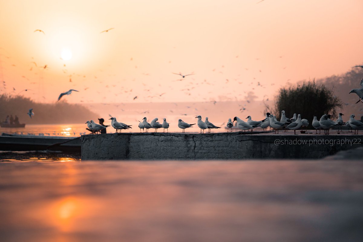 ShadowPhotogra7's tweet photo. Team Meeting
#goodmorning #delhilockdown #development #Survivor2021 #sunrise #TrendingNow #naturelover https://t.co/jBKxMK9rPX