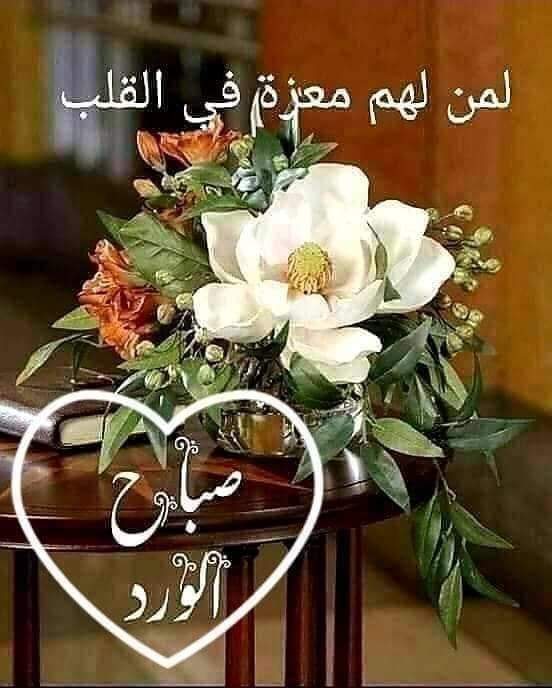 chakerayeb's tweet image. 