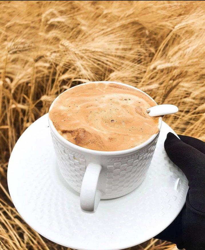 chakerayeb's tweet image. 