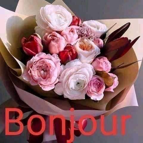 chakerayeb's tweet image. 