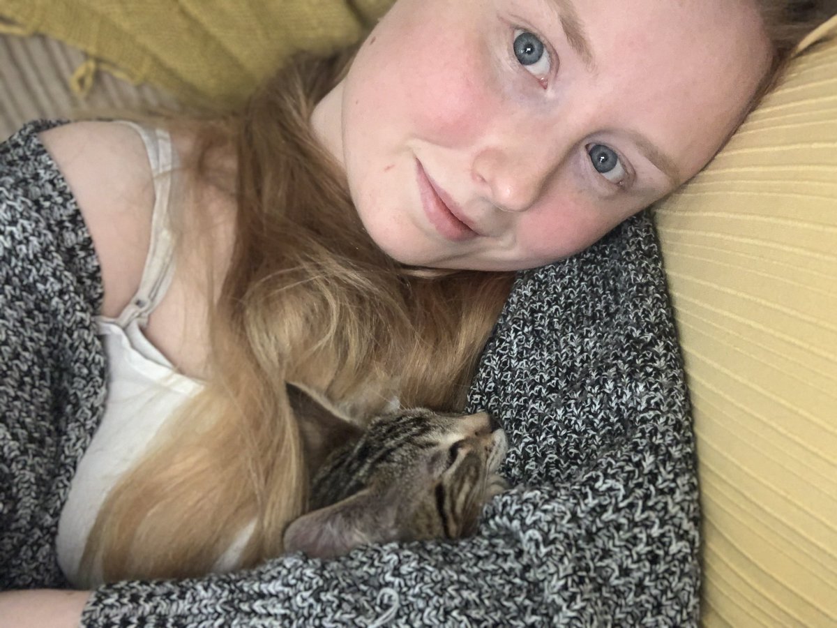 Lauren🦁 tweet media