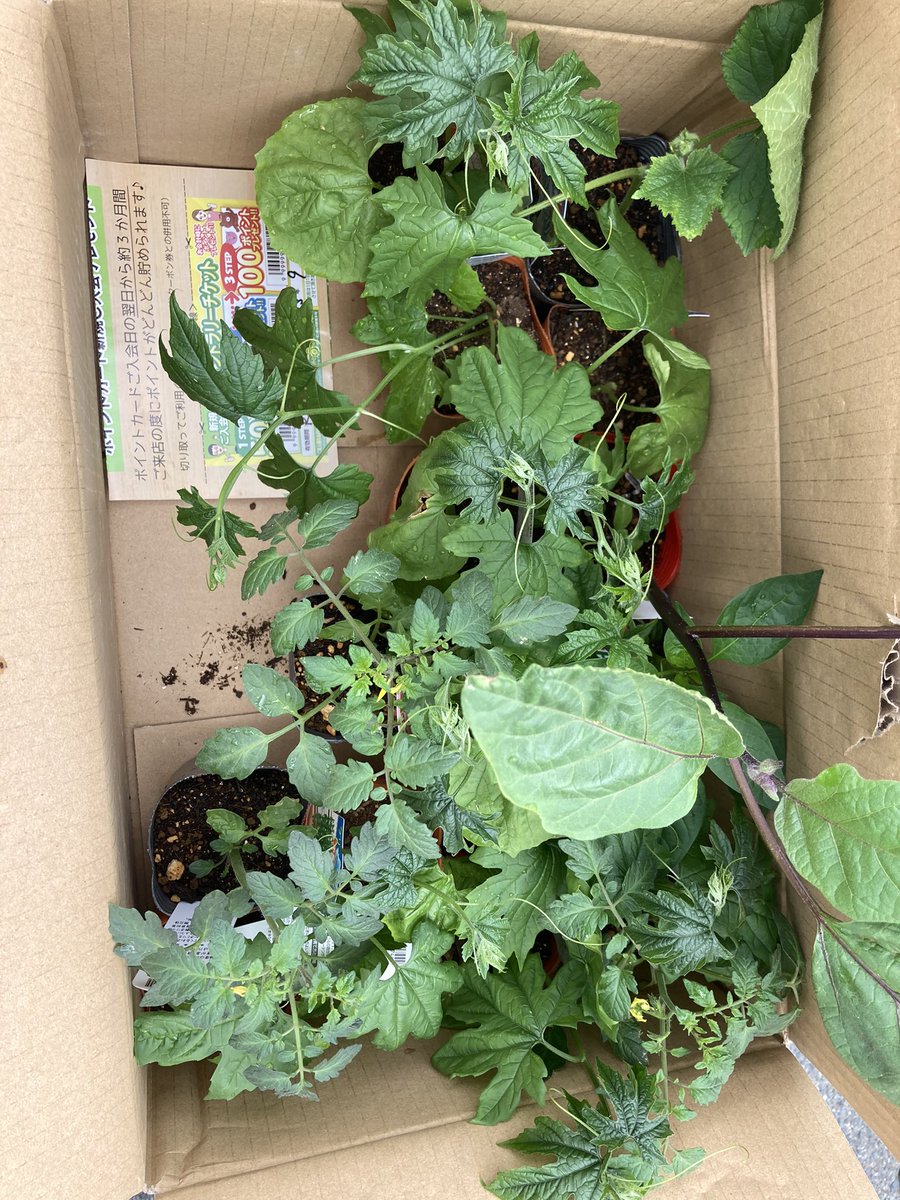 ガーデンガーデン豊橋本店