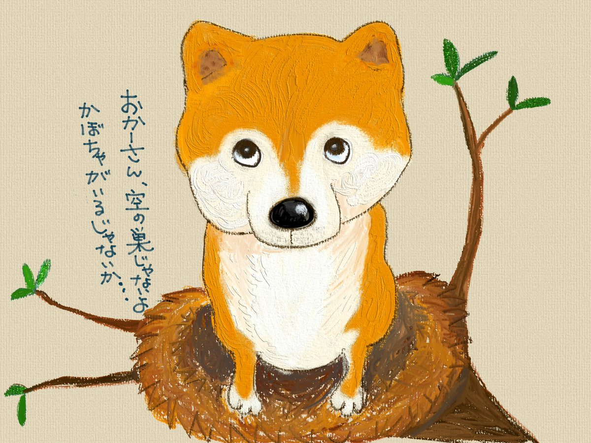 空の巣症候群 空の巣症候群