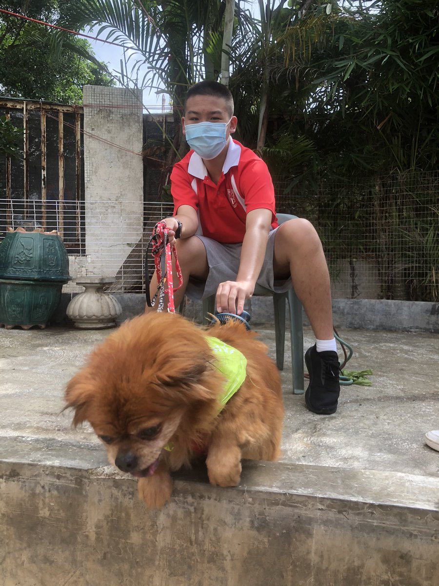 JoshLovestone's tweet photo. Everyone enjoys a day at the spa. Including our four legged friends 🐶 🐕 🐩. #Grooming #AnimalWelfare #BestFriends https://t.co/btS7u3rG2Y