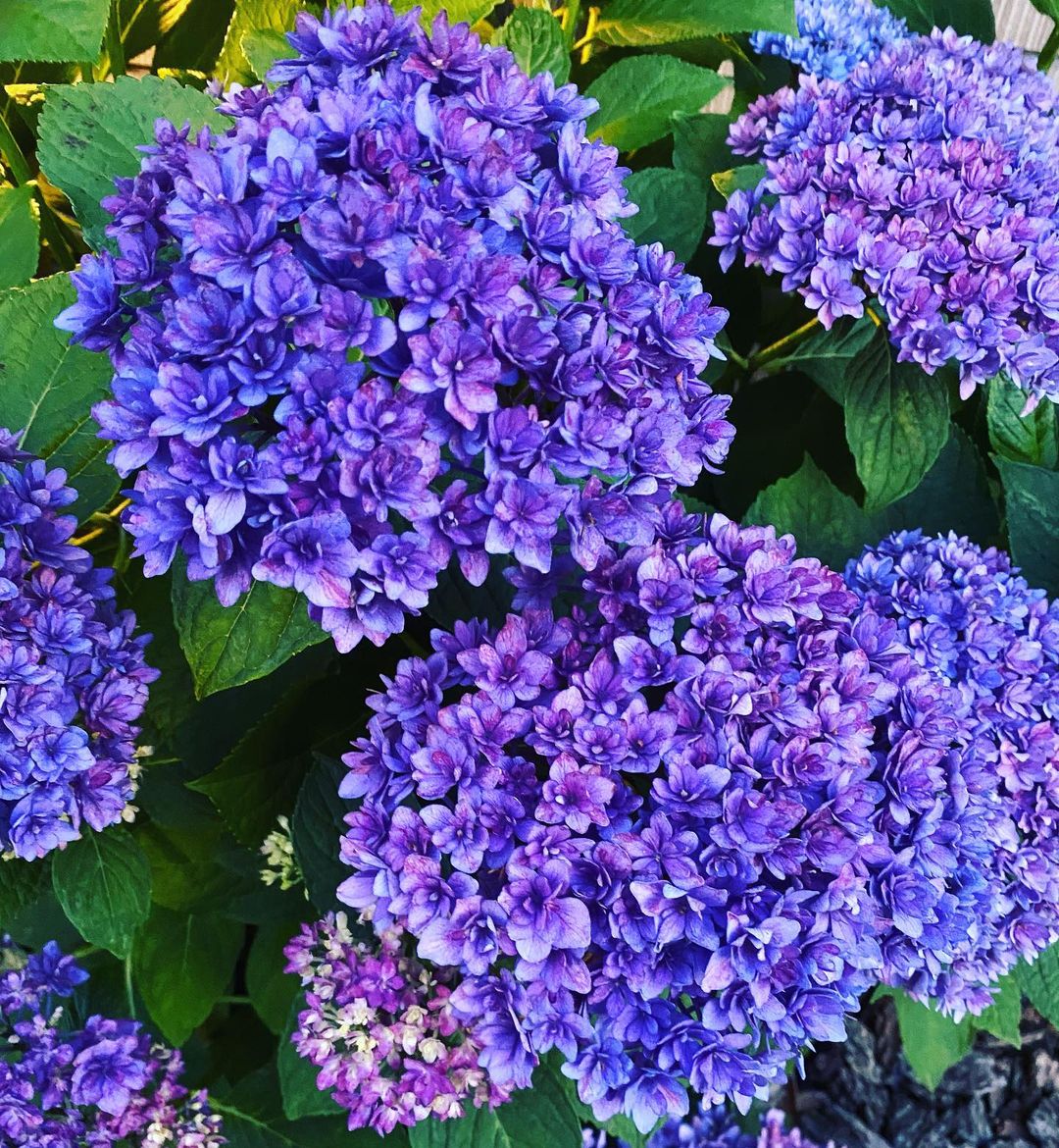 ᴊᴜʀɪɴァ Jfam It Was A Live Broadcast With Refreshing Monochrome Dress Do I Look Like An Adult ワンピ Dress Onepiece モノトーン Monotone Monochrome Love Photooftheday Haircolor Blue Gray Hairstyle 外ハネ ᴊᴜʀɪɴァ Jfam It Was A Live Broadcast With Refreshing Monochrome Dress Do I Look Like An Adult ワンピ Dress Onepiece モノトーン Monotone Monochrome Love Photooftheday Haircolor Blue Gray Hairstyle 外ハネ